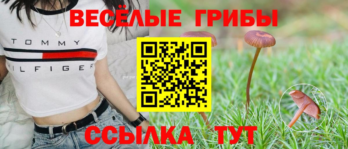 Дмитров  Галлюциногенные грибы прущие грибы  Вход с VPN  Галлюциногенные грибы Psilocybe 
