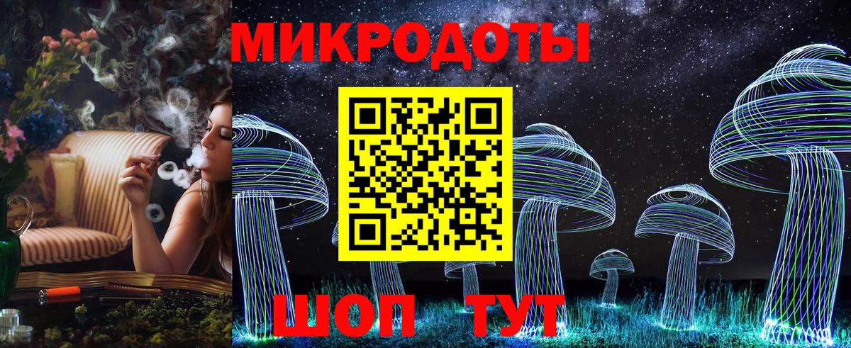 Псилоцибиновые грибы Psilocybe Дмитров